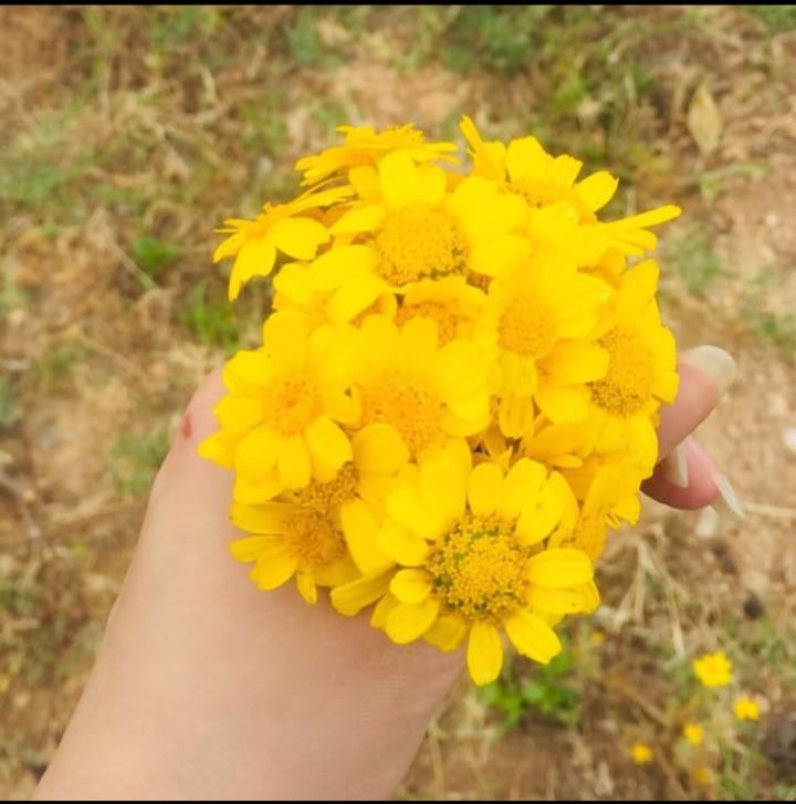 Sisisilia Suliman_kRMo5