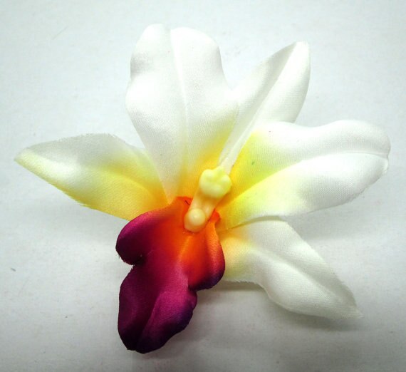 ����� �����_PkPFW