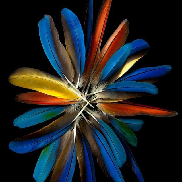 ��� ���_WEw7z