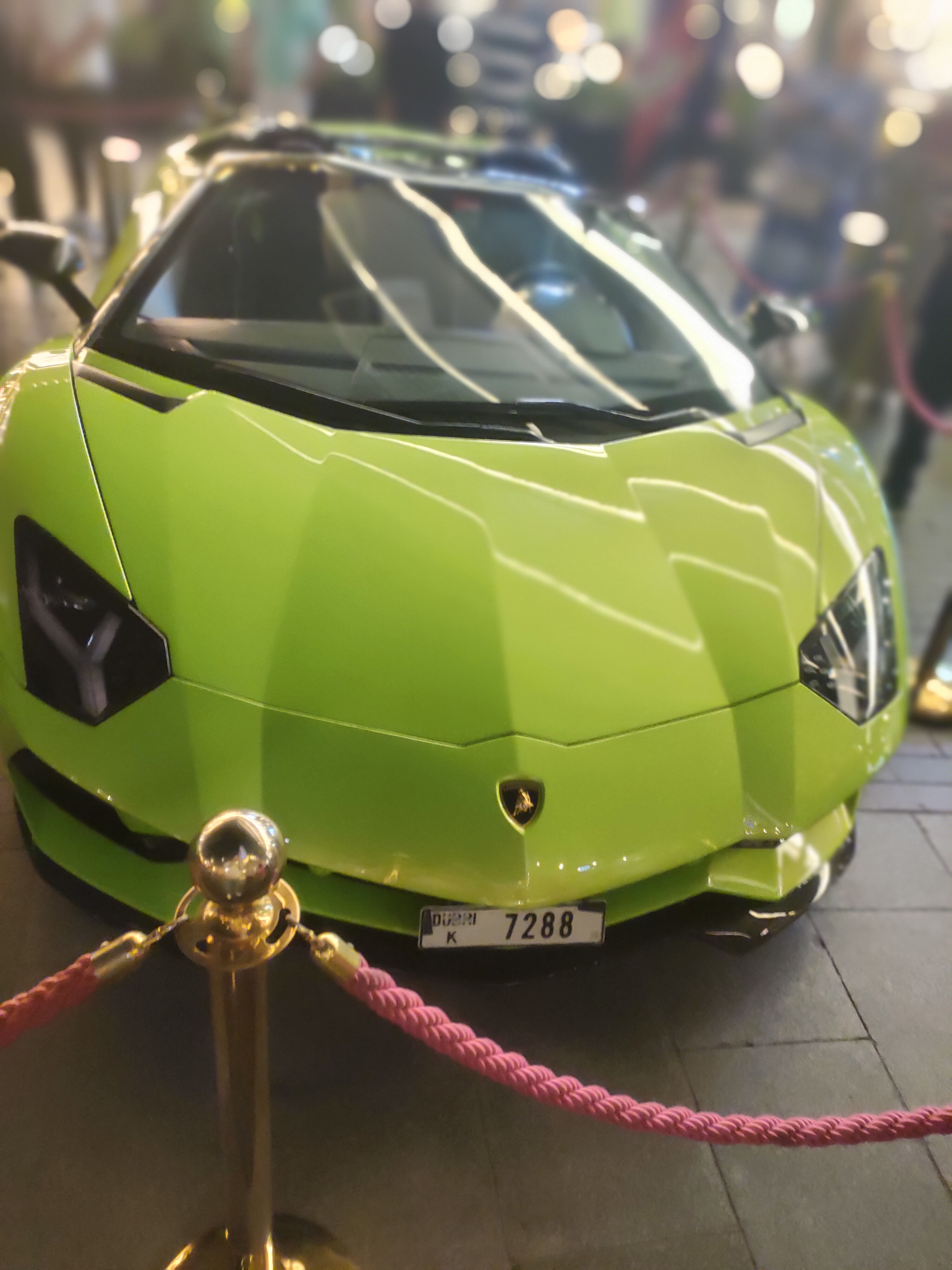 ���� ������_Sea8F