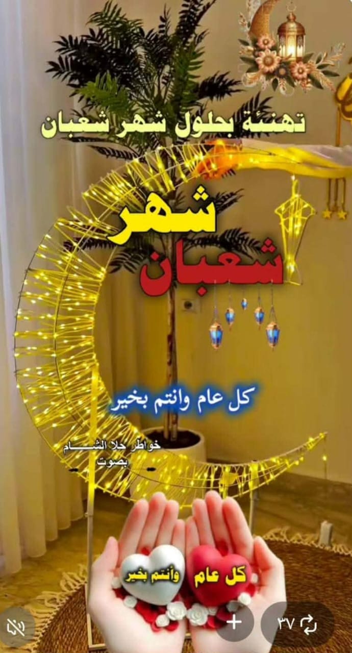 ���� ������_Kfqlw